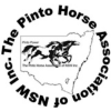 The Pinto Horse Association of NSW